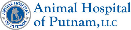 Animal Hospital of Putnam, LLC